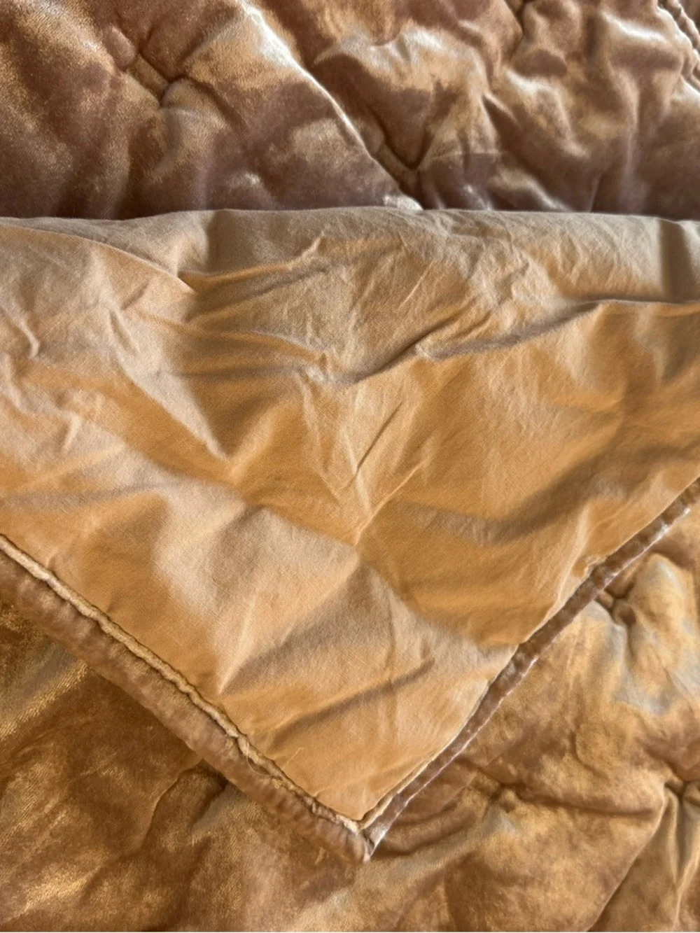 3 West Elm Euro Velvet Shams